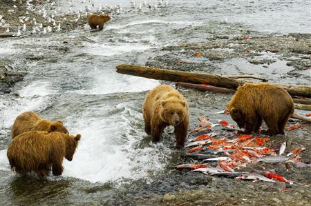 「カナダ人の半分が住んでいる地域を赤で囲ってみた…」衝撃を受ける人が続出