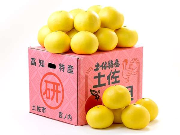 ふるさと納税おすすめの品