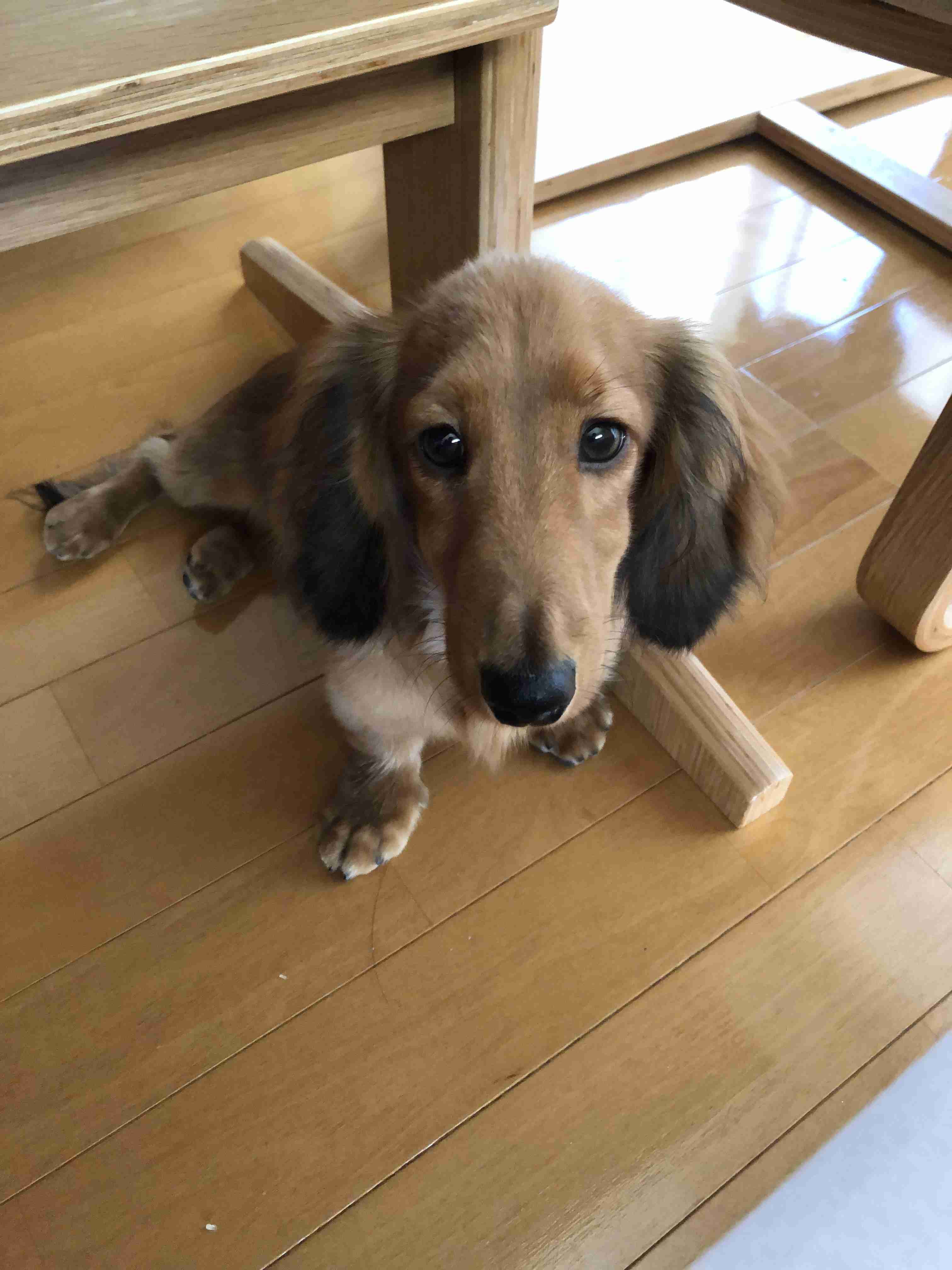 おいでよ！雑談の森！PART3！