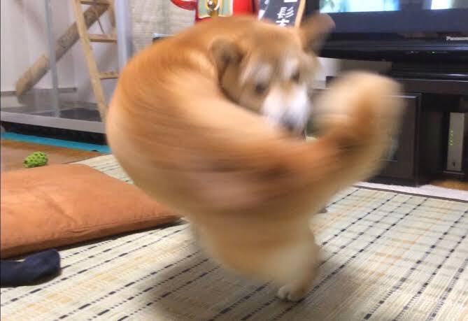 大人になっても情緒が安定しない