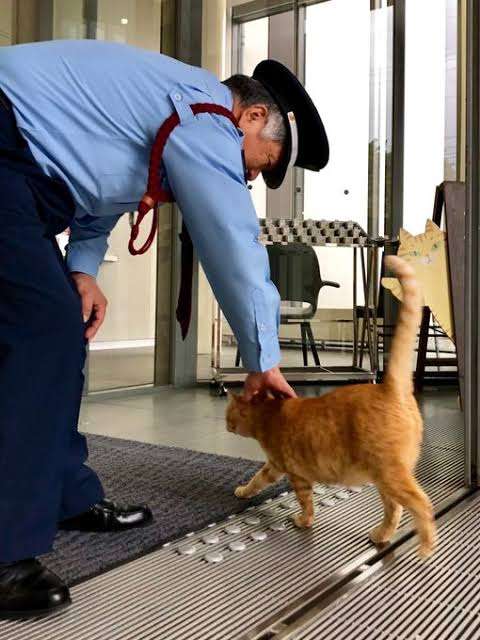 【画像】なりきり学園で遊ぼう!【芸能人】【ネタ】