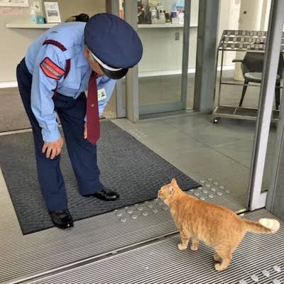【画像】なりきり学園で遊ぼう!【芸能人】【ネタ】