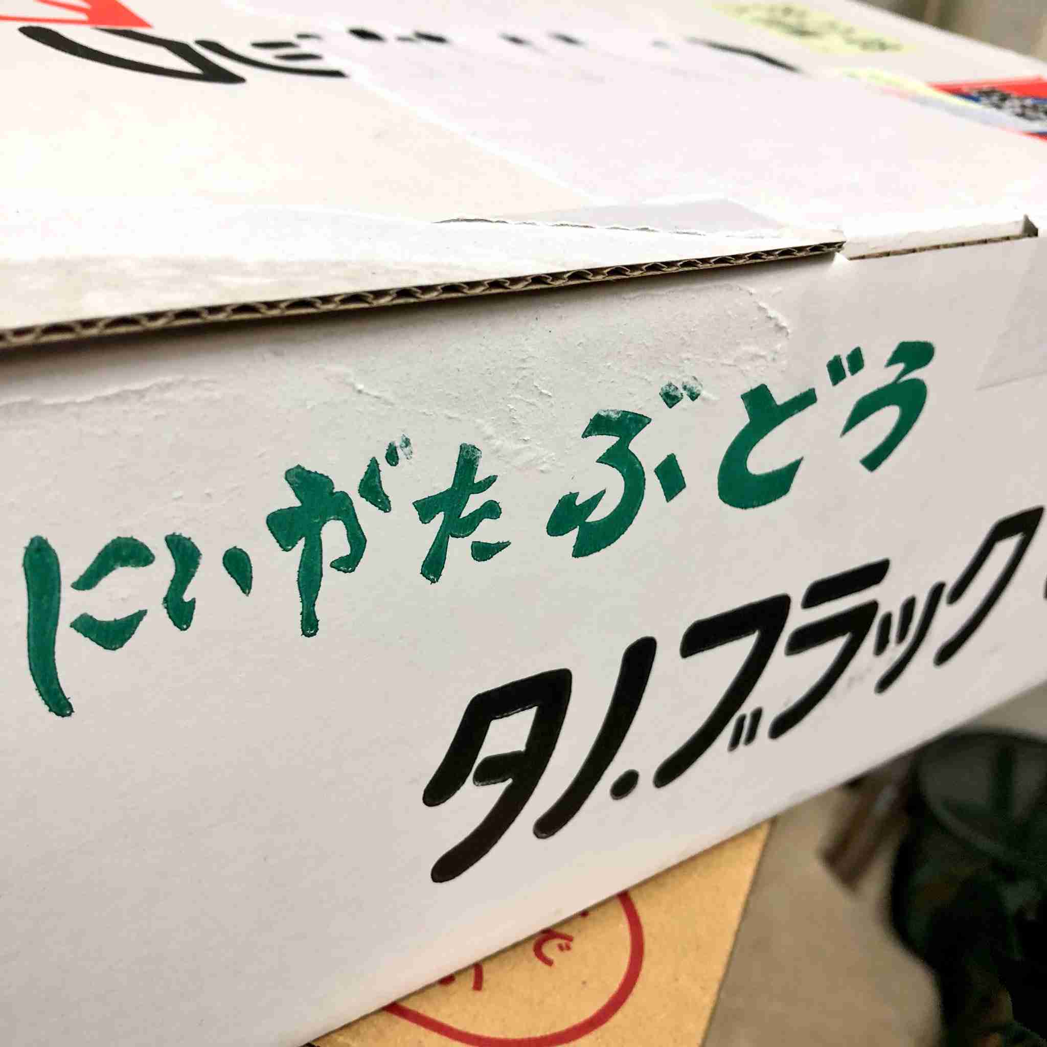 「事件の原因はNGT山口真帆が男と不仲になり無視したため」AKS吉成社長またも暴露発言