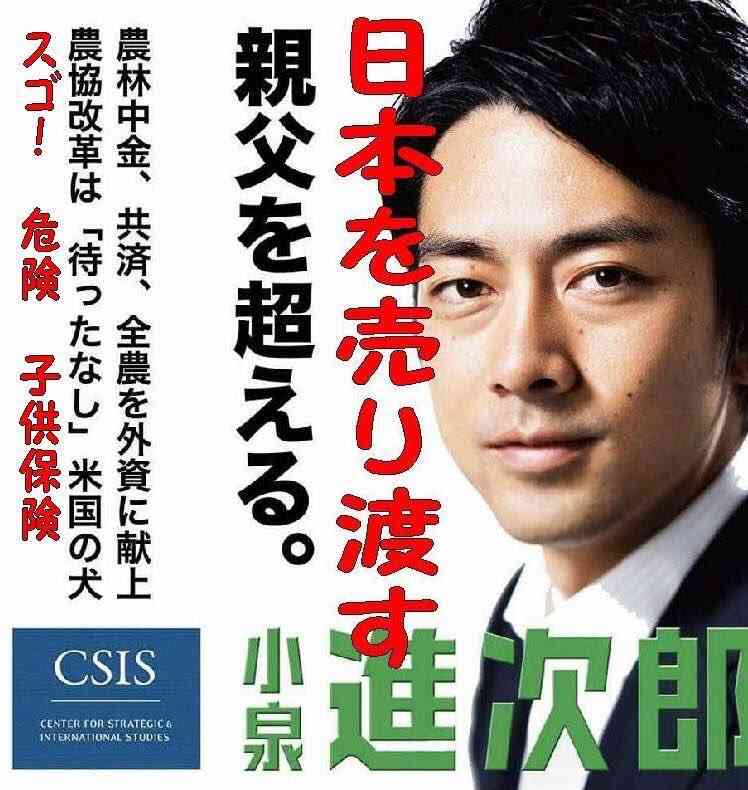 内閣改造 小泉進次郎氏の入閣固まる 初入閣