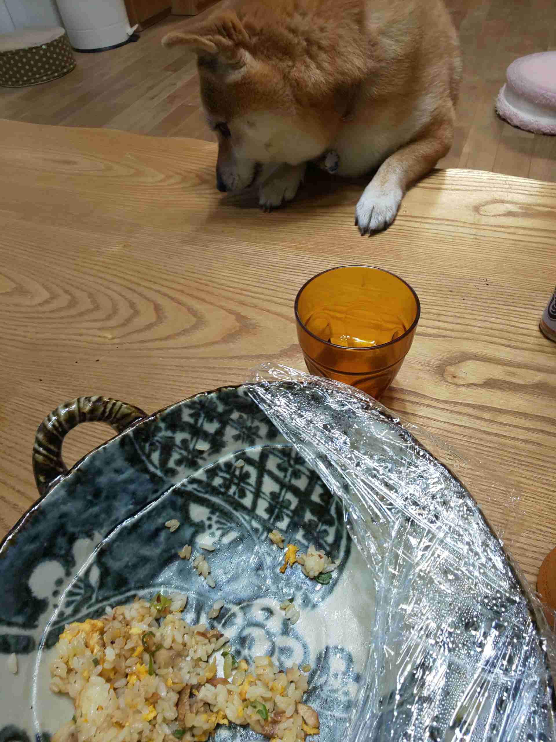 お家の一部を身バレしないように載せてみようPart２