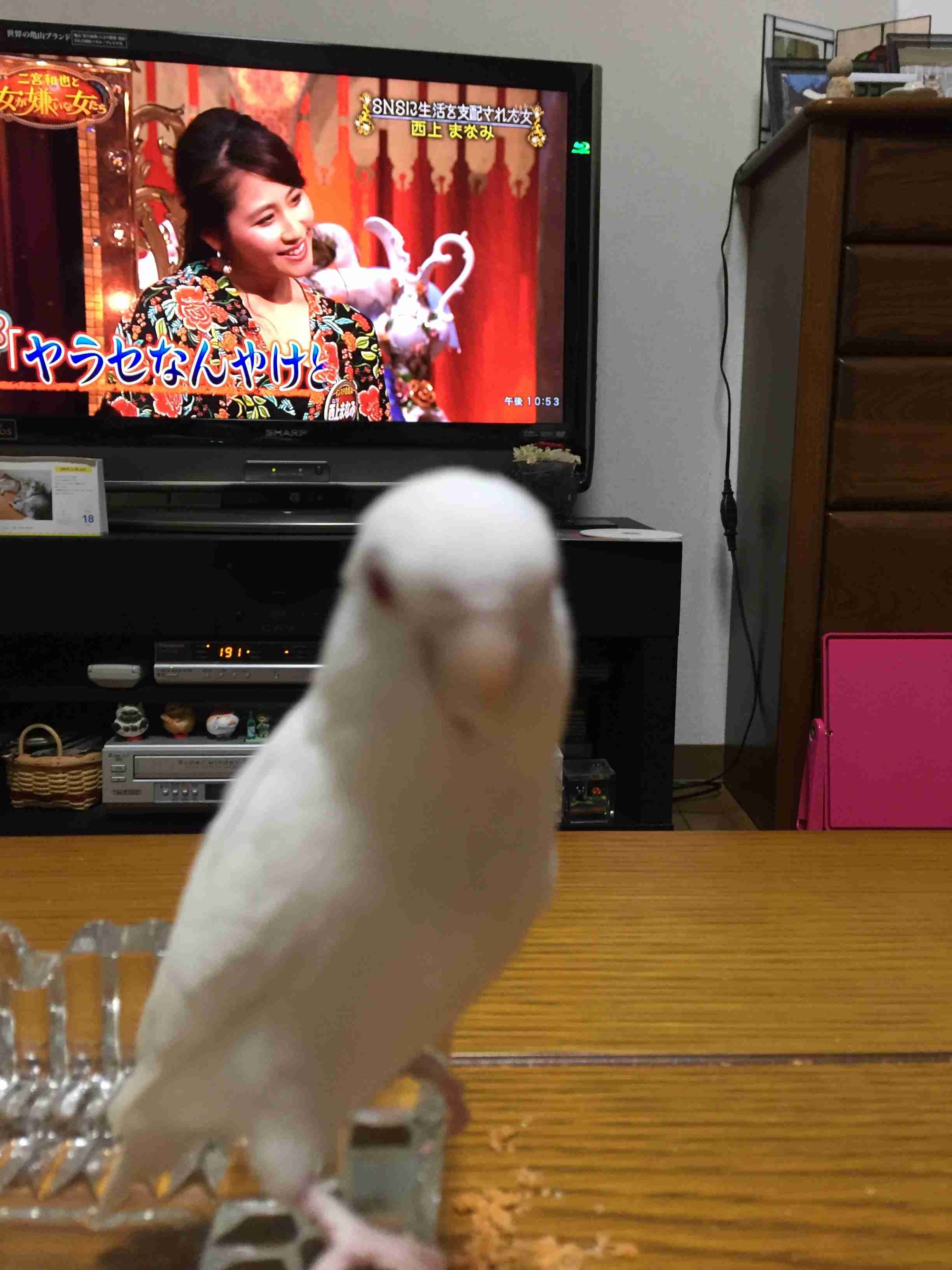 お家の一部を身バレしないように載せてみようPart２