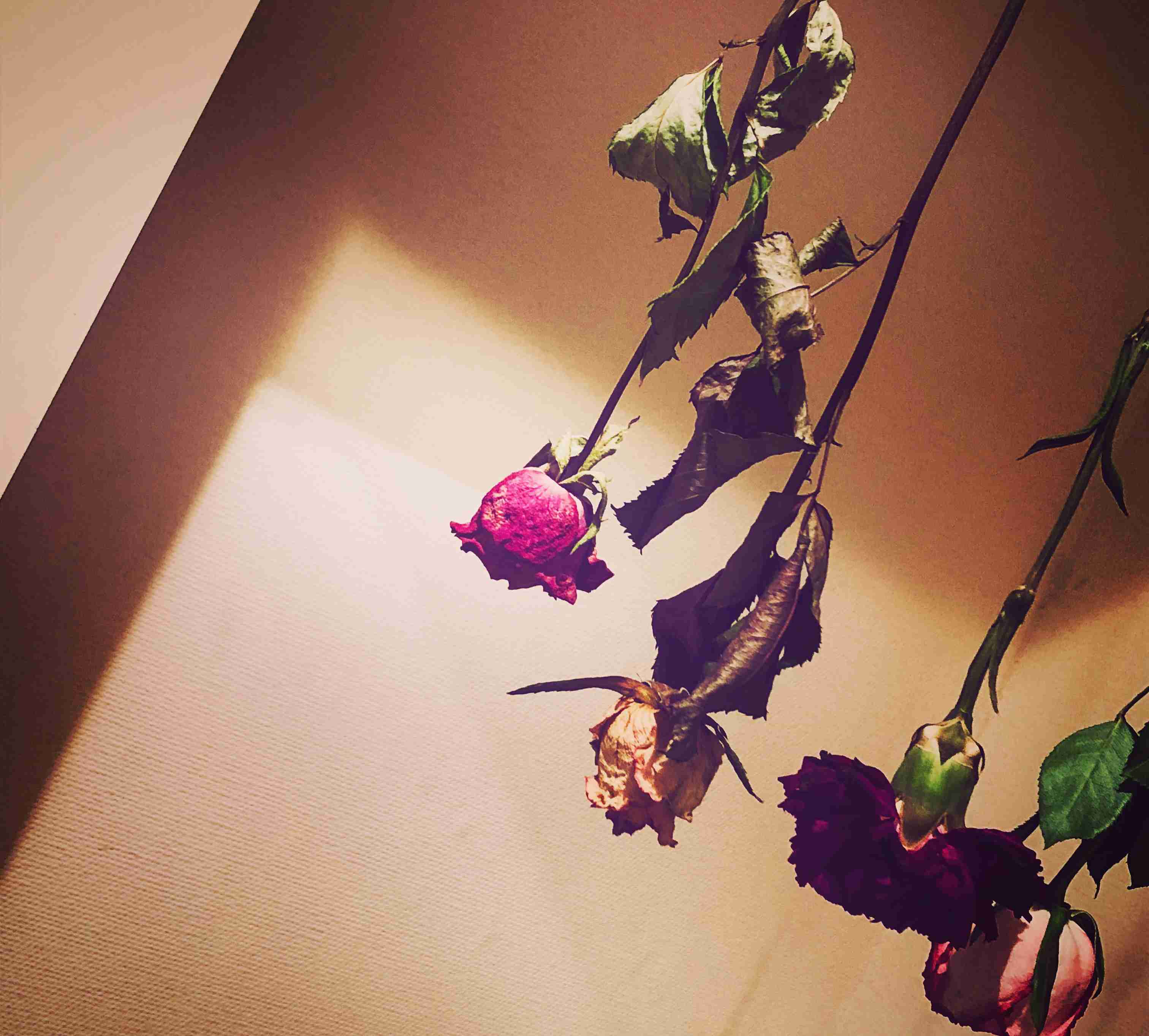 お家の一部を身バレしないように載せてみようPart２