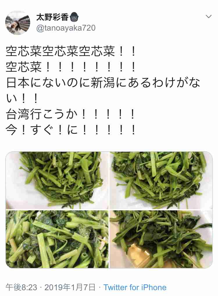 山口真帆、写真集ランキング1位獲得 順調な芸能活動スタート