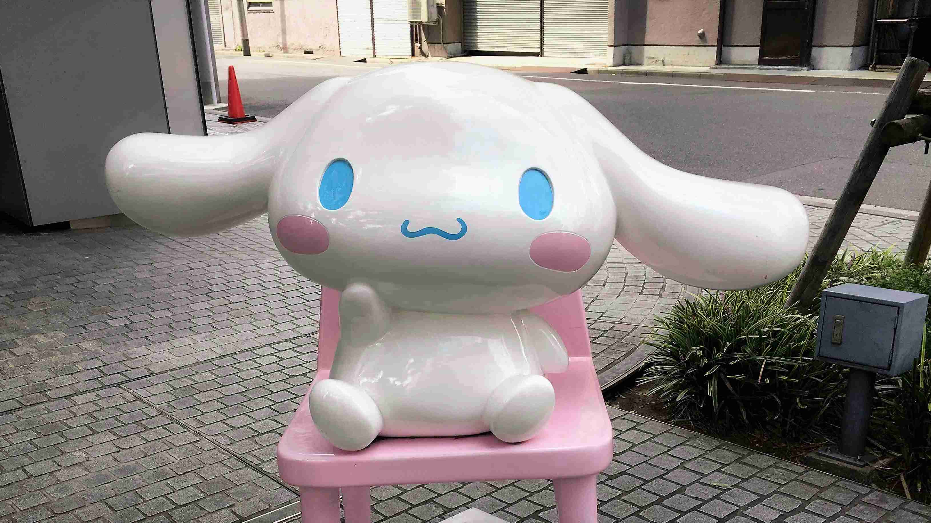 山口真帆、写真集ランキング1位獲得 順調な芸能活動スタート