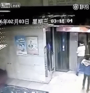 二度見どころか三度見したくなる画像やGIFが集まるトピ