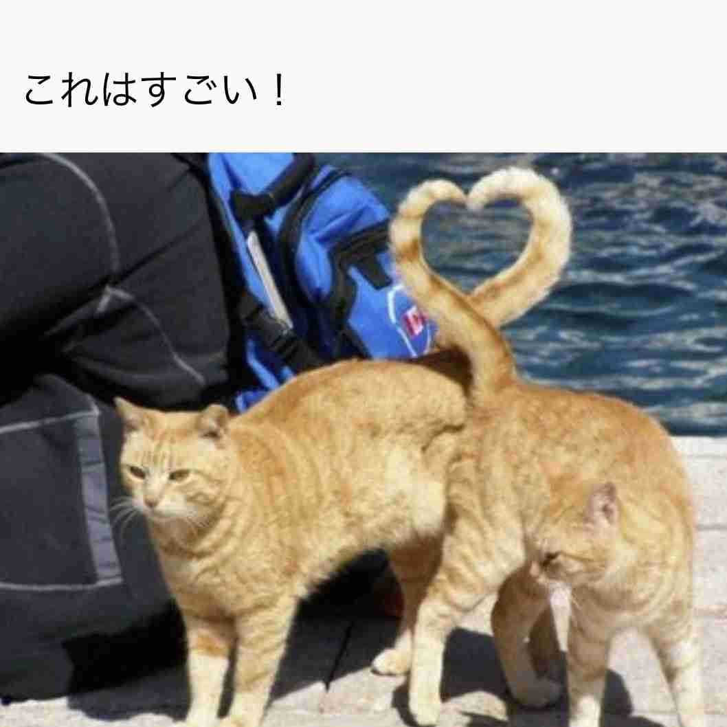 二度見どころか三度見したくなる画像やGIFが集まるトピ