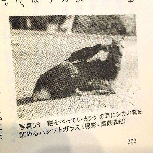 二度見どころか三度見したくなる画像やGIFが集まるトピ