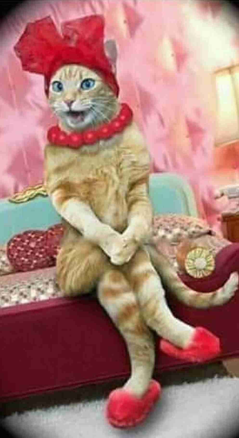二度見どころか三度見したくなる画像やGIFが集まるトピ