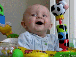 二度見どころか三度見したくなる画像やGIFが集まるトピ