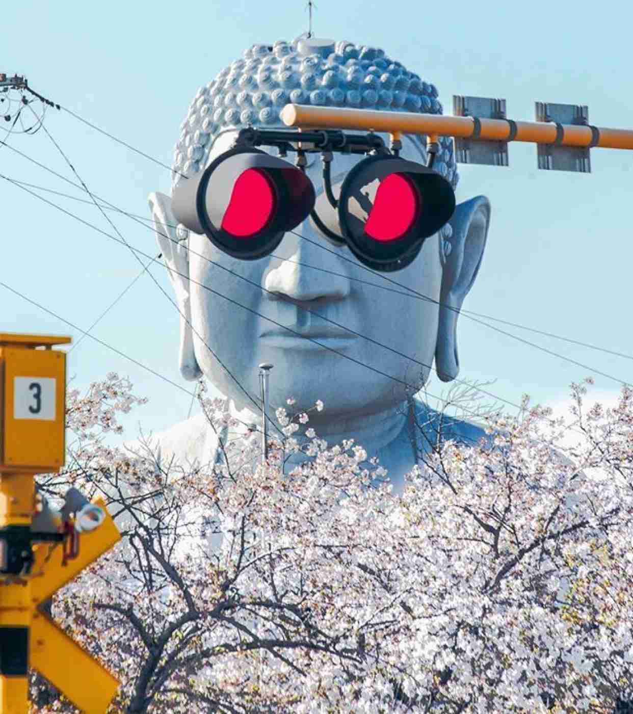 二度見どころか三度見したくなる画像やGIFが集まるトピ