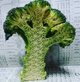 【閲覧注意】集合体が好き！