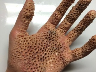【閲覧注意】集合体が好き！