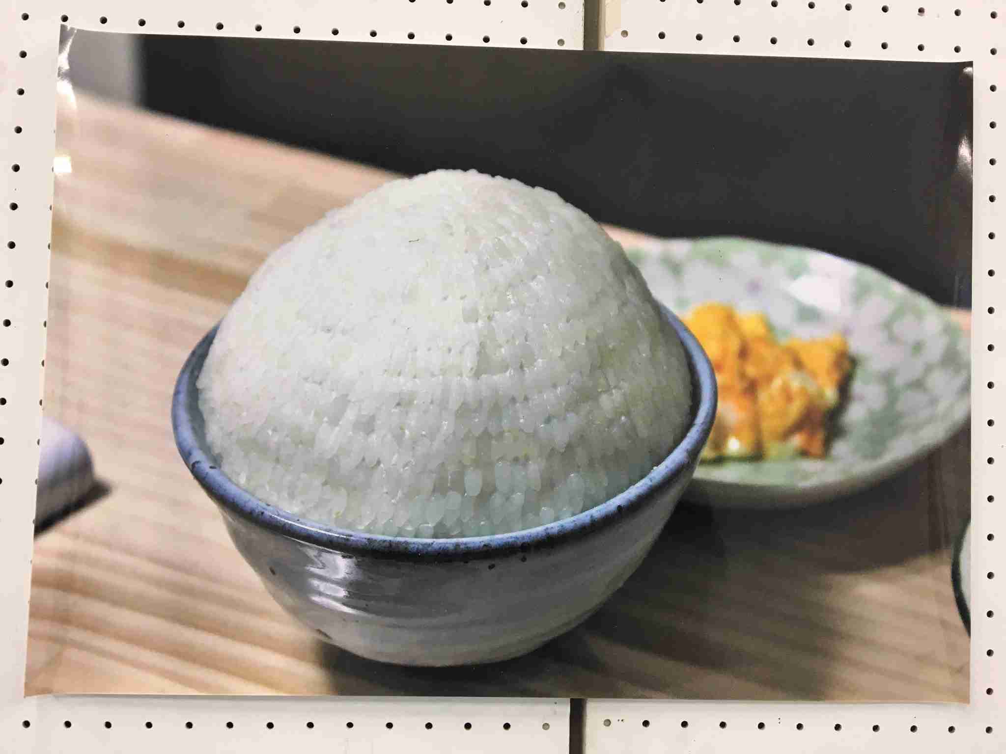 【閲覧注意】集合体が好き！