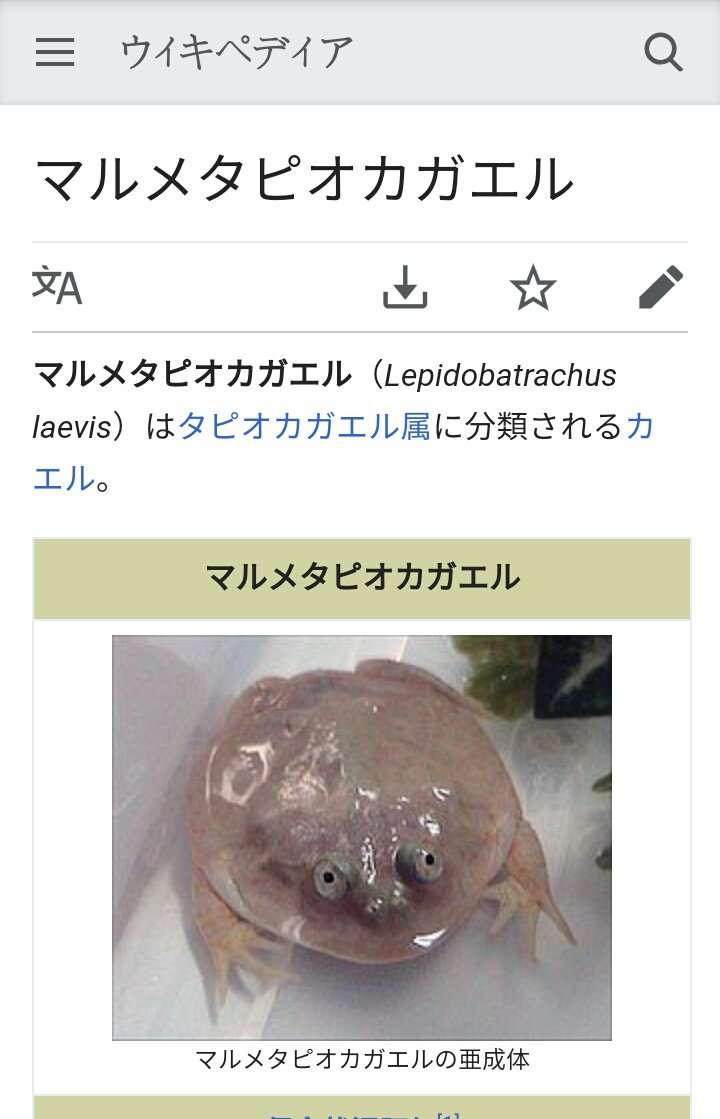 タピオカブームらしいけど全くタピオカの良さが分からない、嫌いな人