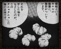 タピオカブームらしいけど全くタピオカの良さが分からない、嫌いな人