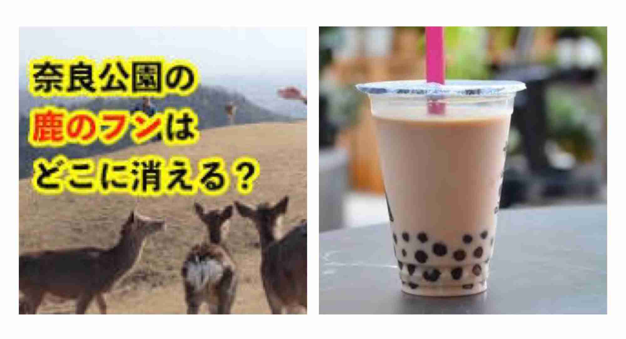 タピオカブームらしいけど全くタピオカの良さが分からない、嫌いな人