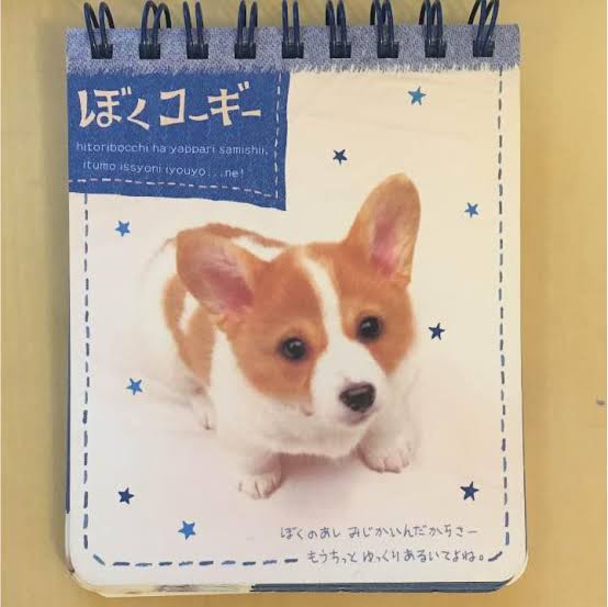 San-X(サンエックス)好きな人☆
