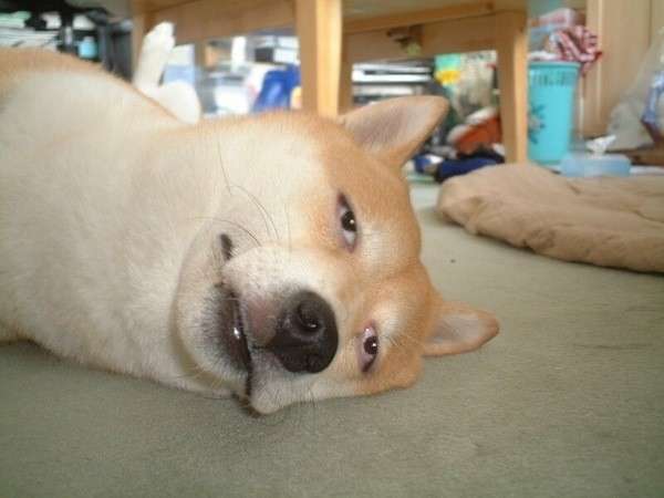 ○○のし過ぎでこうなりました。