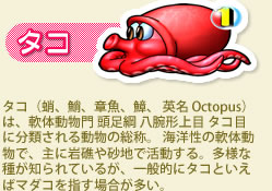 角栓抜くの好きすぎる人