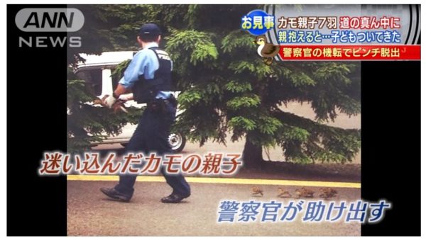 警察のお世話になる動物画像ください