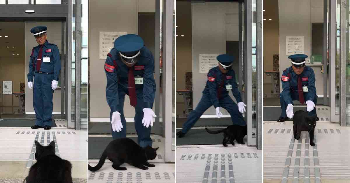 警察のお世話になる動物画像ください