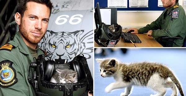 警察のお世話になる動物画像ください