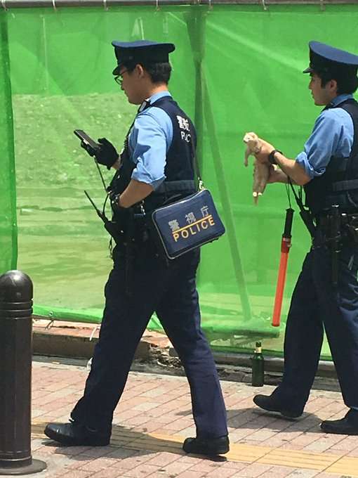 警察のお世話になる動物画像ください