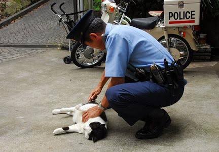 警察のお世話になる動物画像ください