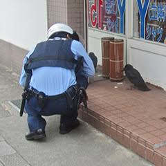 警察のお世話になる動物画像ください