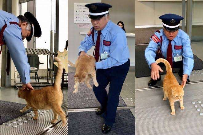 警察のお世話になる動物画像ください
