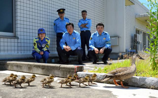 警察のお世話になる動物画像ください