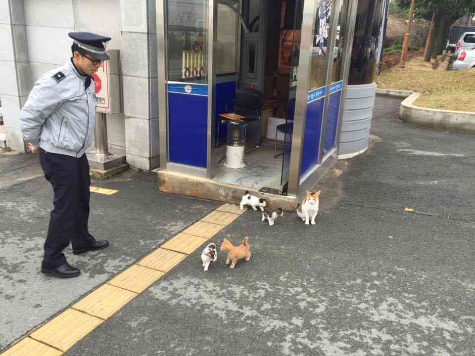 警察のお世話になる動物画像ください