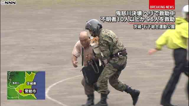 警察のお世話になる動物画像ください