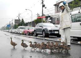 警察のお世話になる動物画像ください
