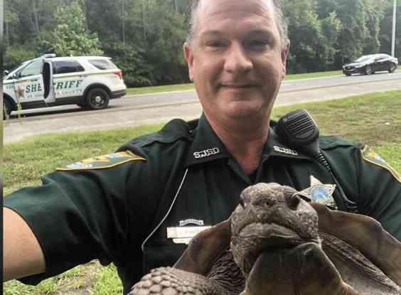 警察のお世話になる動物画像ください