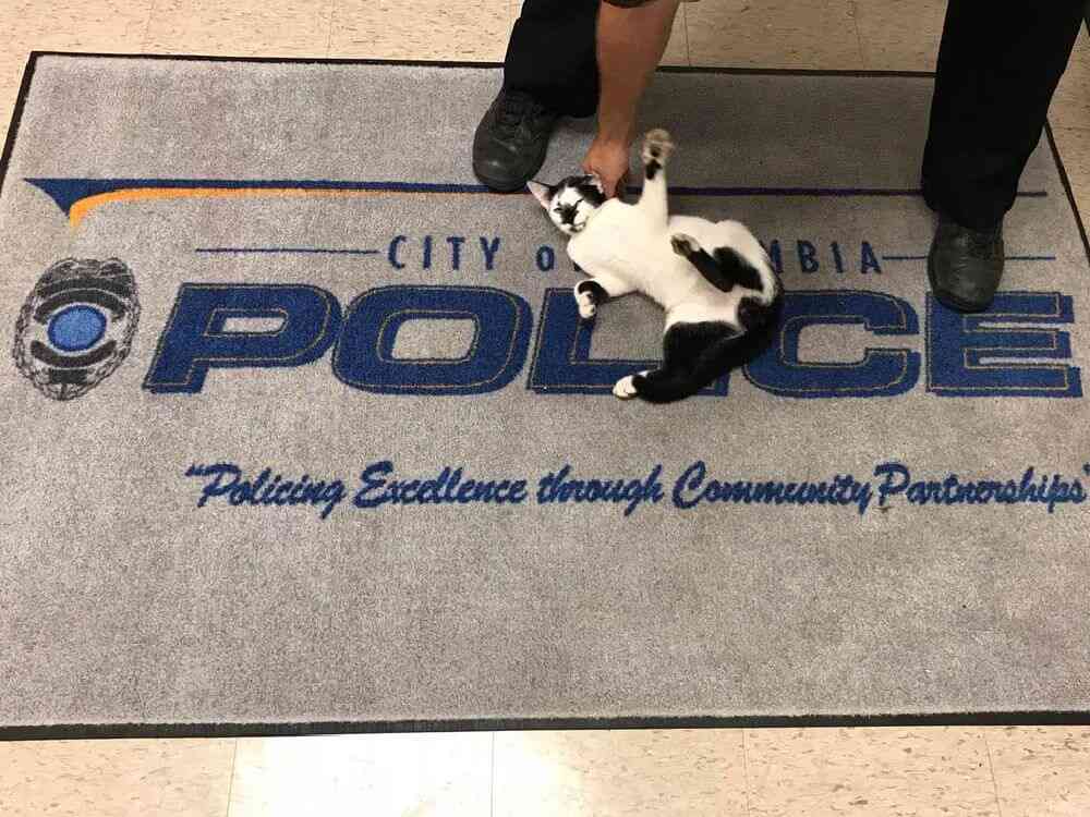 警察のお世話になる動物画像ください