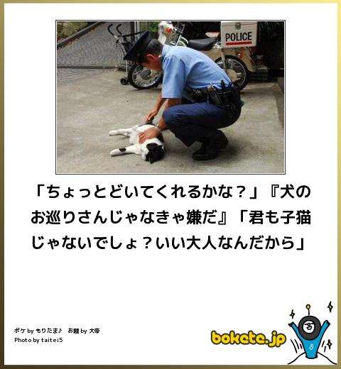 警察のお世話になる動物画像ください