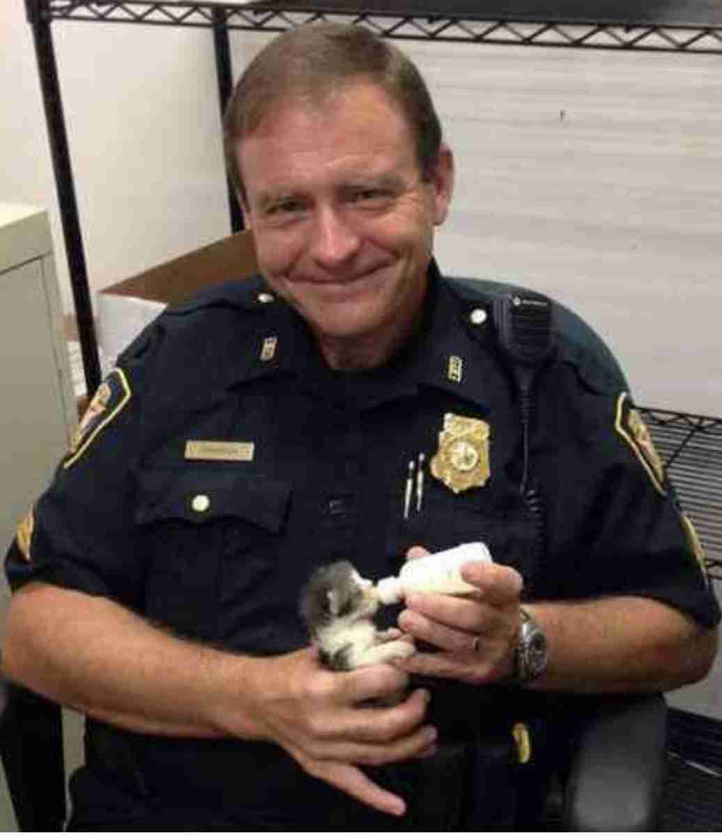警察のお世話になる動物画像ください