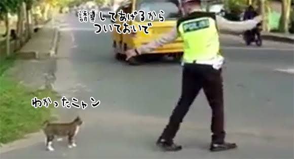 警察のお世話になる動物画像ください