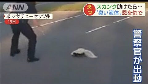 警察のお世話になる動物画像ください