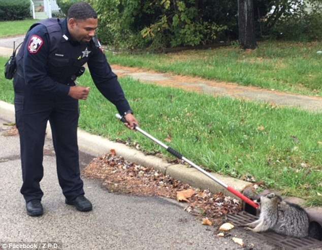 警察のお世話になる動物画像ください