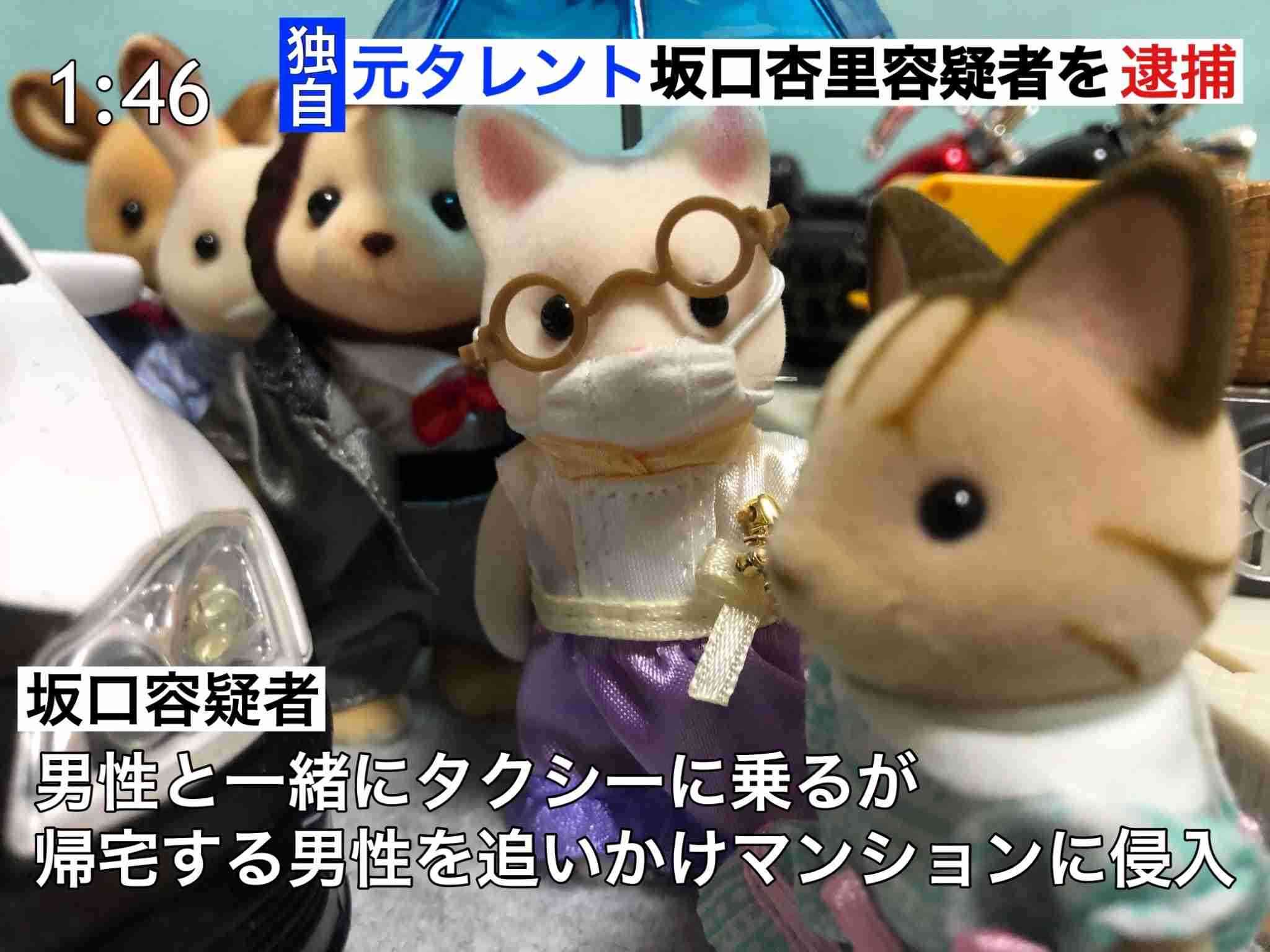 警察のお世話になる動物画像ください