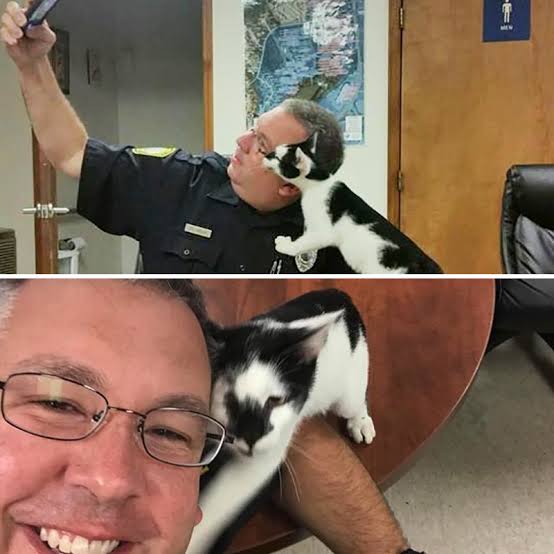 警察のお世話になる動物画像ください