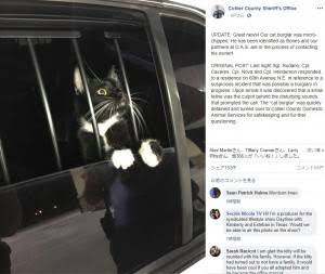警察のお世話になる動物画像ください