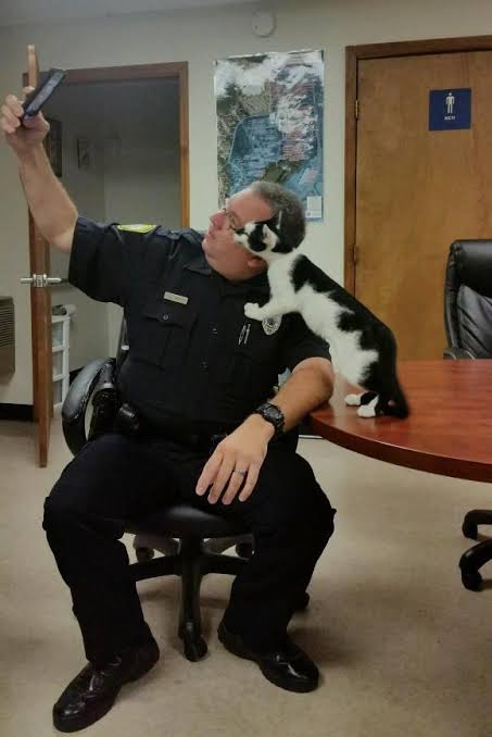 警察のお世話になる動物画像ください